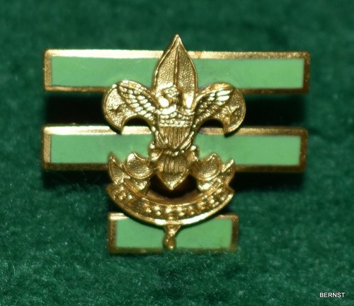 VINTAGE BOY SCOUT - SENIOR PATROL LEADER PIN - SCREW BACK - Picture 1 of 4