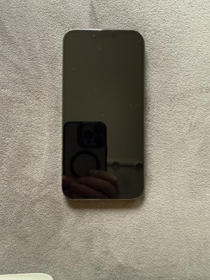 Apple iPhone 13 Pro Max  ! ! ! 512GB !!!  (CDMA | GSM) Alpine Green TOP gepflegt