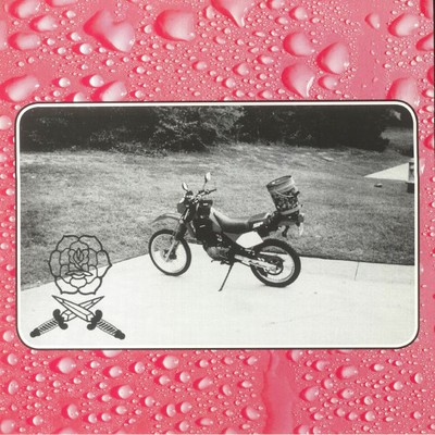 BASS DRUM OF DEATH - Say I Won't - Vinyl (Elfenbein-Vinyl-LP (Indie-exklusiv))
