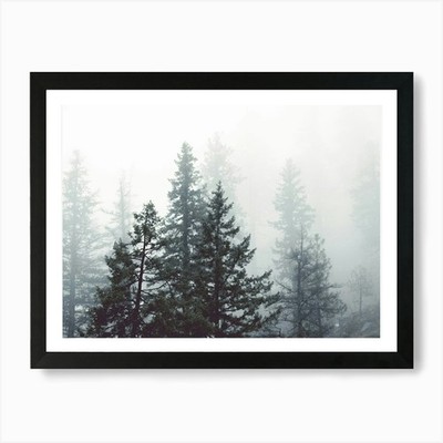 Pacific Northwest Forest Dreams Kunst Gerahmtes Wandbild Poster Leinwanddruck Bild