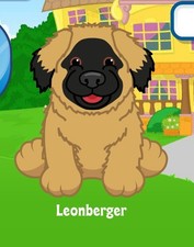 Webkinz Classic Leonberger Virtual Adoption Code Only Messaged