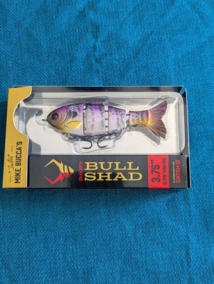 Mike Bucca Baby Bull Shad Jekyll Customs Catch Co 