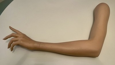 Mannequin Female Arm Including Upper Arm, Lower Arm And Hand