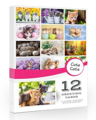 12 x Katzen Grußkarten Paket. Ideal für 105 mm x 148 mm, bunt