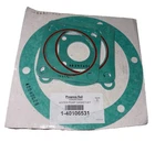 Water pump gasket kit 1-40106531 Progress Rail