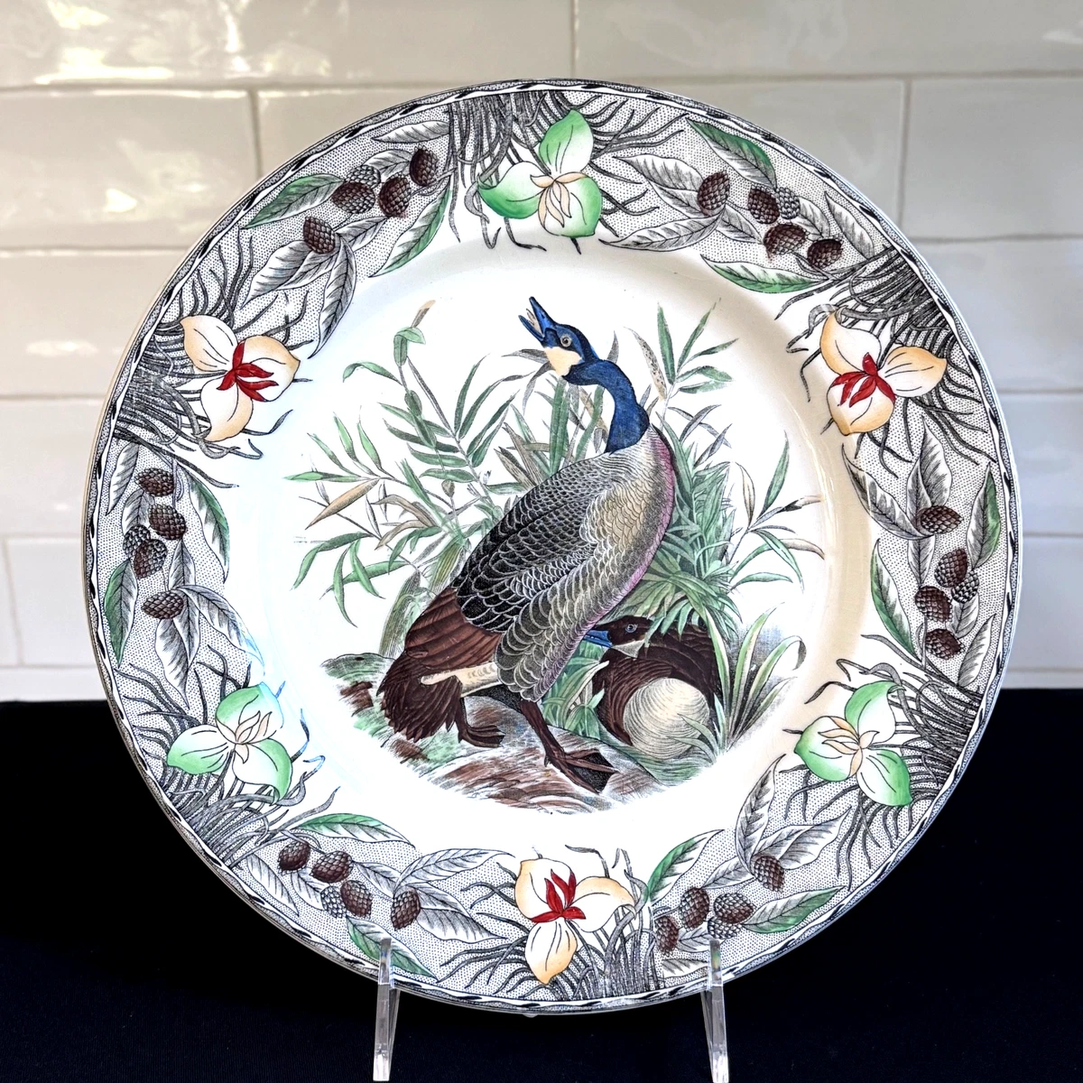 Birds Of America Plate In Decorative Collector Plates for sale | eBay