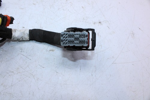 Can-Am engine wiring harness 420266782 - photo 2