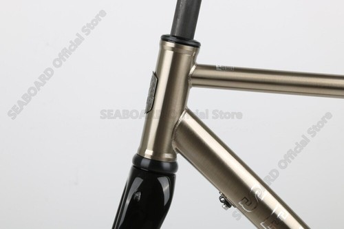 700*42C Gravel Bike Frame Disc Brake Thru Axle 142*12mm Road Bike Frameset - Picture 21 of 34
