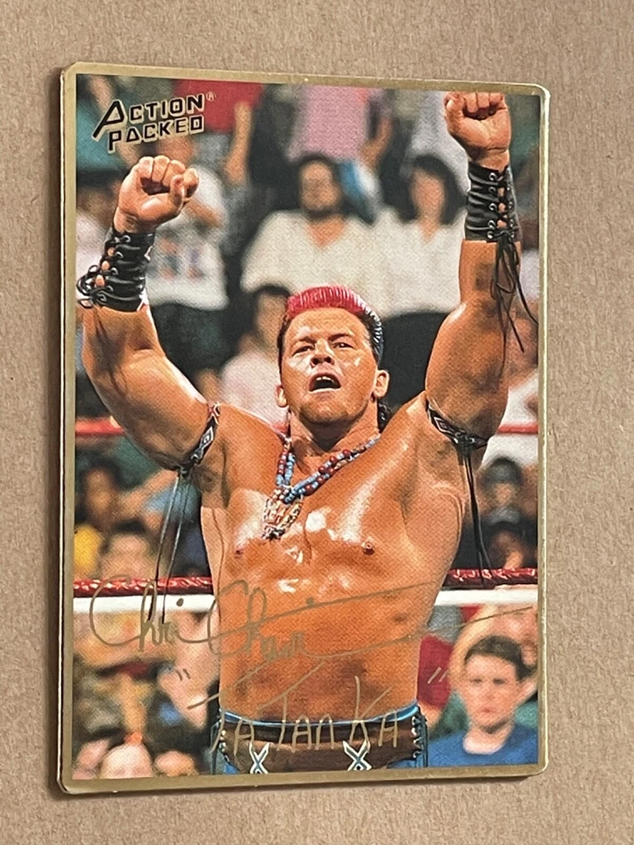 1994 Action Packed WWF - Tatanka #29 for sale | eBay