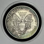 1996 Key Date ASE American Silver Eagle Toned Beautiful Color