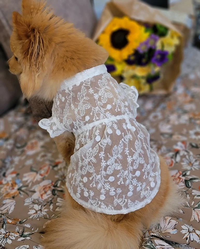 White Floral Lace Dog Dress / Small Dog Dress / Spring Summer White Dog Dress - Image 3 of 4