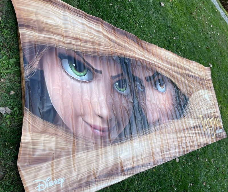 RARE 2010 Disneys Tangled Original Movie Poster ADV, 71.5x190” Double Sided