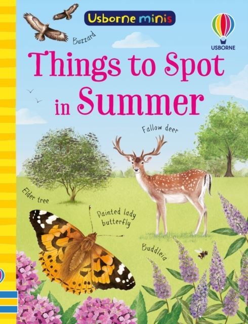Things to Spot in Summer by Kate Nolan Paperback
