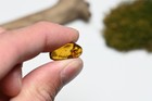 第 5/10 張圖片