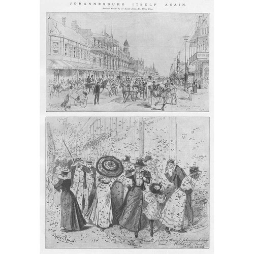 SOUTH AFRICA Scenes in Johannesburg - Antique Print 1896