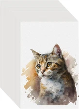 50PCS 4X6 Watercolor Paper Bulk, 140Lb/300G Cold Press Thick Water Color Paper P