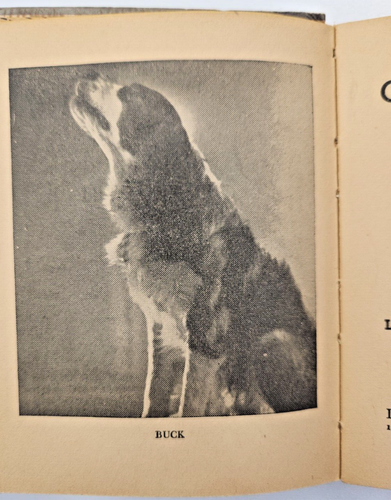 1935 Jack Londons Call of the Wild Vintage Hardcover a Lynn book - Picture 7 of 18