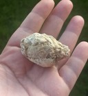 Picture 2 of 4