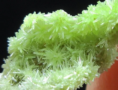 flowery green pyromorphite crystal mineral specimen Daoping,China!