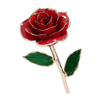 DSKENU 24K Gold Plated Resin Preserved Real Red Eternal Rose Gift Box Set