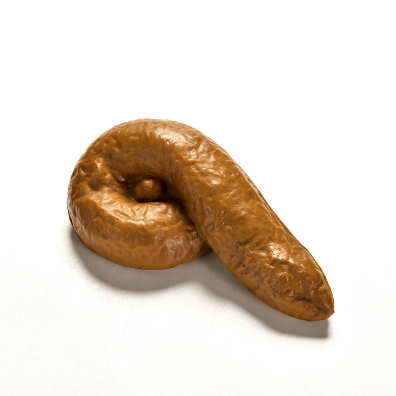 Realistic Fake Gag Poop Turd Crap Toilet Practical Joke Funny Gifts April  Fool