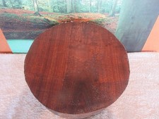BLACK WALNUT 12 X 4 TURNING WOOD X-LARGE BOWL BLANK