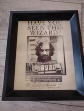 Harry Potter Sirius Black Poster Print Box Frame Wall Art