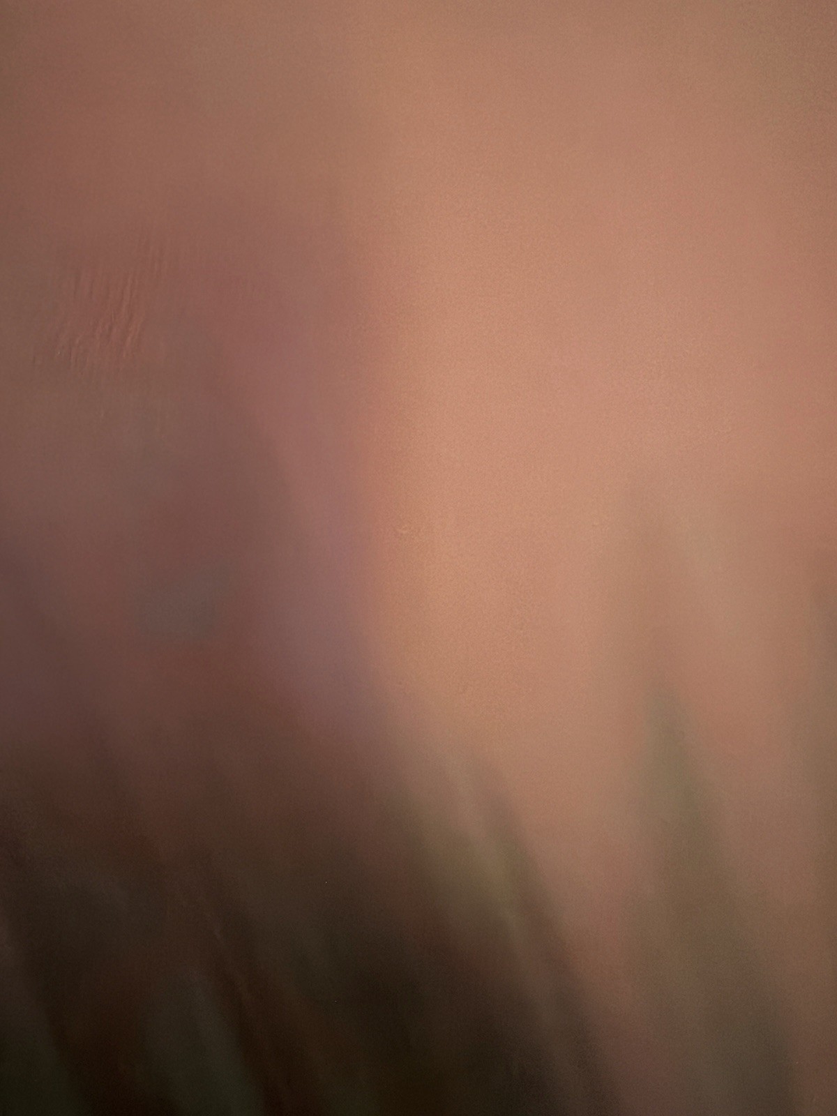 Dior Men x Travis Scott Cactus Jack Pink Graphic T-Shirt Oversized Fits M image 3