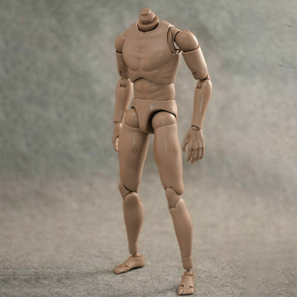 ZYTOYS 1/6 Narrow Shoulder 12