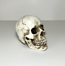 SKULL GOTHIC HALLOWEEN DECORATION CENTERPIECE EERIE BONE COLOR TABLE DECORATION