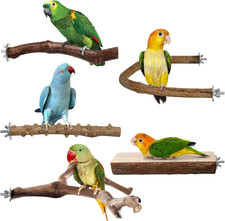 Bird Perches, 5Pcs Natural Wood Birds Stand Branch, Bird Perch Chewing Stick Cag