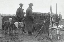 The Sully Hare Coursing Meeting 1914 Photo Article M343