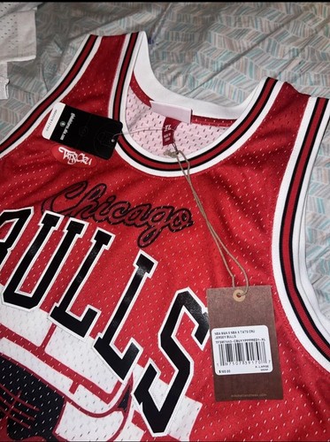 Mitchell & Ness x Tats Cru Chicago Bulls Red Hardwood Classics Fashion Jersey XL - Bild 3 von 5