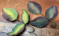 vintage millinery 1940s silk layer yellow green 1 tri leaves Japan