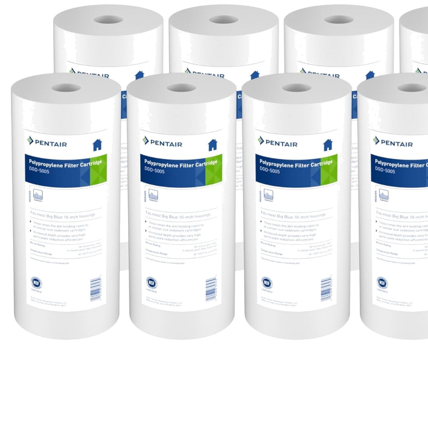 Pentair DGD-5005 Big Blue 10