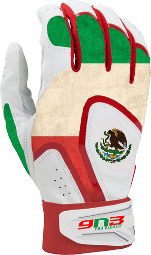 9N3 Country Flags Schlaghandschuhe (Ziegenleder) *fällt kleiner aus* - Bild 20 von 20