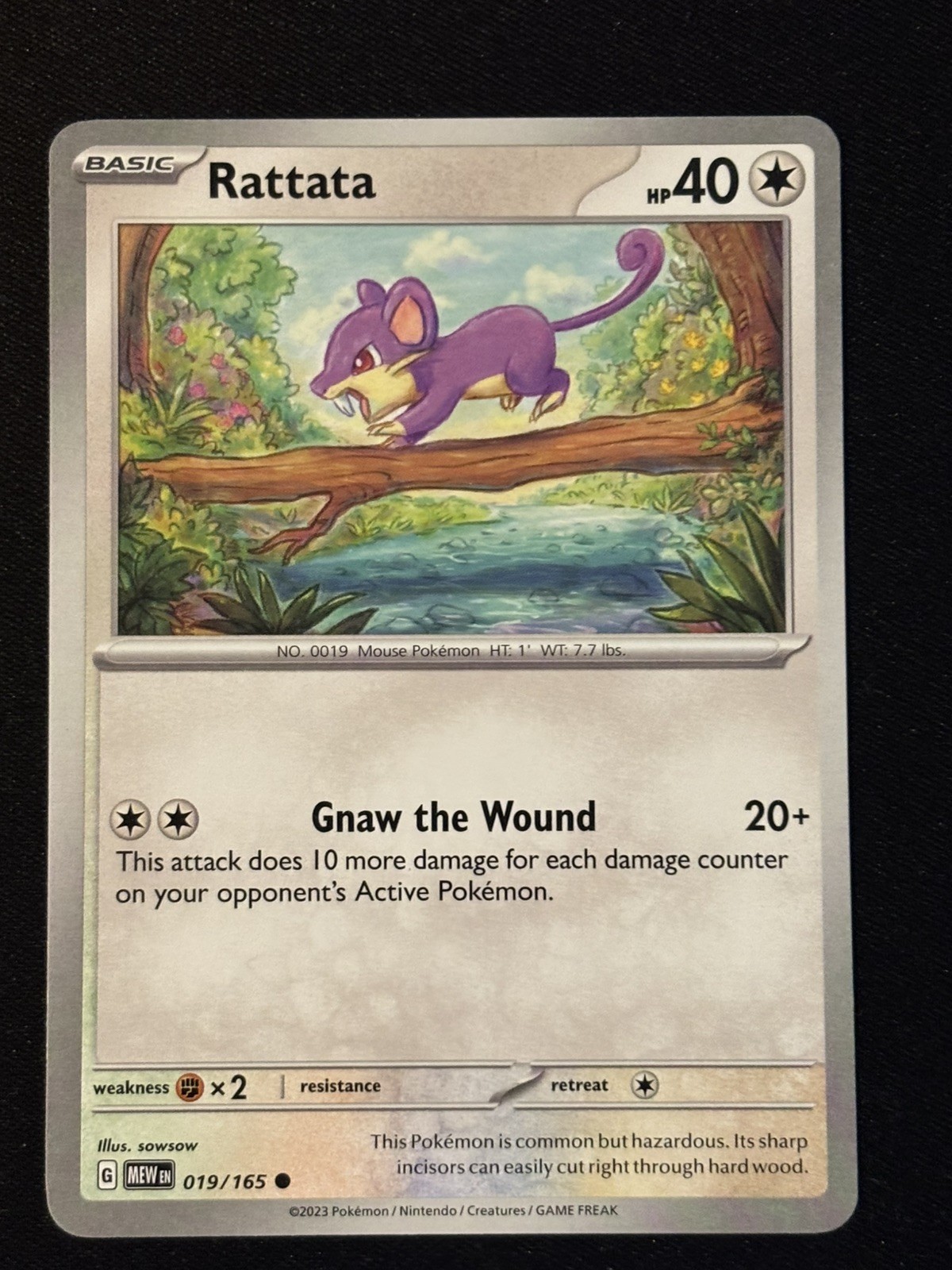 Pokemon TCG 2023 151 Rattata 019/165 Common 
