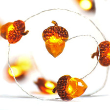 Thanksgiving Decorations Acorn Lights String 10Ft 40 Leds with Remote
