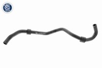 Vaico KüHlerschlauch Q+ V10-4685 FüR T5 Transporter VW 7HA 7HH 7EA 7EH Bus 7HB