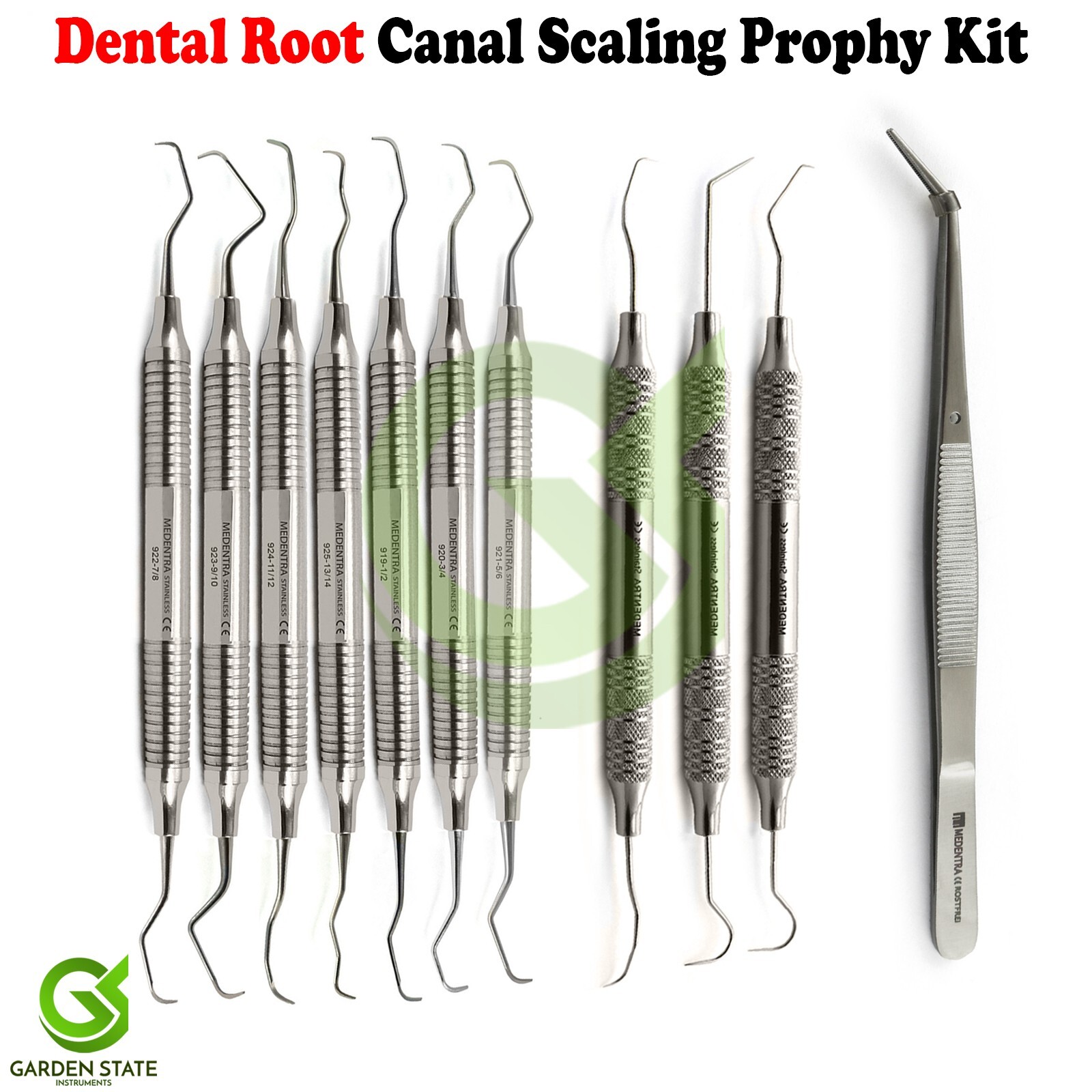Dental Prophylaxis Instruments Kit Explorer Probe Root Canal Gracey