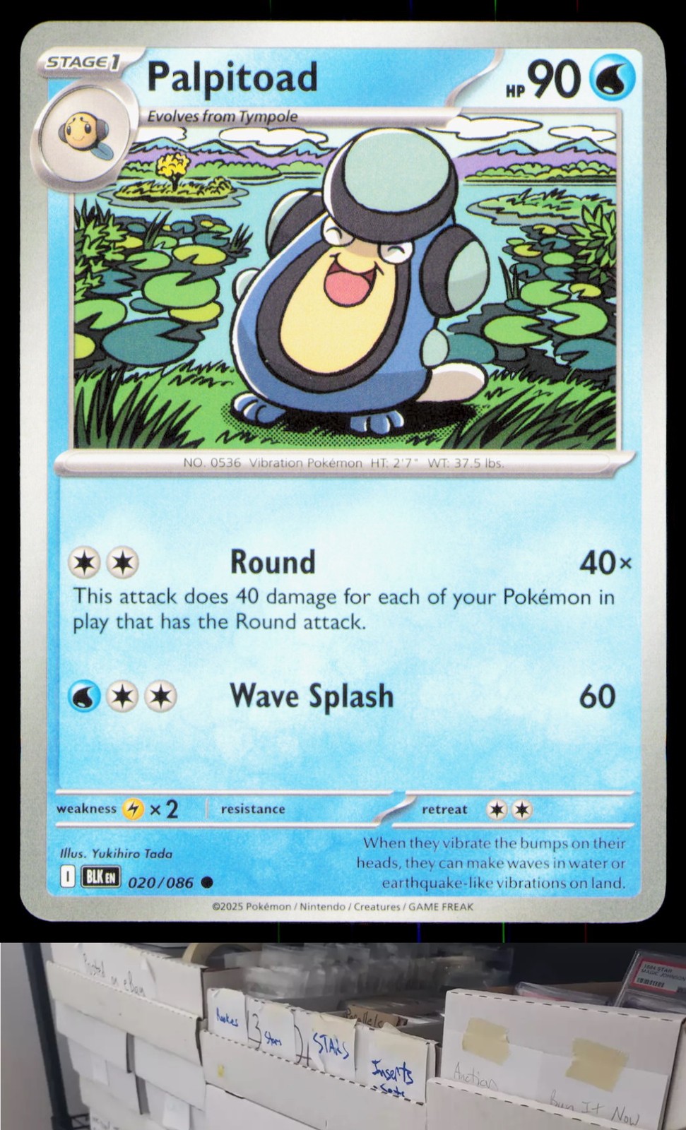 SV: Black Bolt #020/086 Palpitoad Pokemon - CA