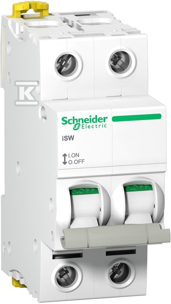 Disjoncteur isotherme 2P 100A AC iSW-100-2 A9S65291 Acti9 - Image 2