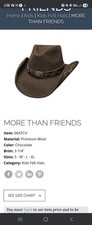 Bullhide Kids More Than Friends Chocolate Small Brim 3 1/4" Nwt Item 0647CH