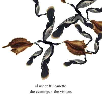 Al Usher / THE EVENINGS / THE VISITORS (INC. EWAN PEARSON RMX) / Misericord / M