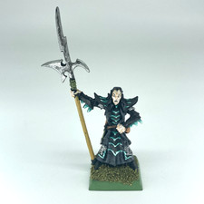 Dark Elf Black Guard - Dark Elves - Citadel Warhammer Fantasy Metal X19639