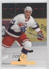 1994-95 Leaf Darrin Shannon #251 1s7