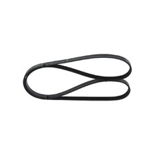 Bosch Keilrippenriemen 7700267465 7700266680 128024 96161326 PQS10035 | 373785
