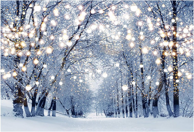 7x5ft Winter Scene Backdrop Wonderland Snowflake Photography Background Bokeh Gl