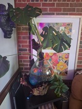 Large Molten Glass Sculptural Bowl  Terrarium Natural Driftwood Base Plant
