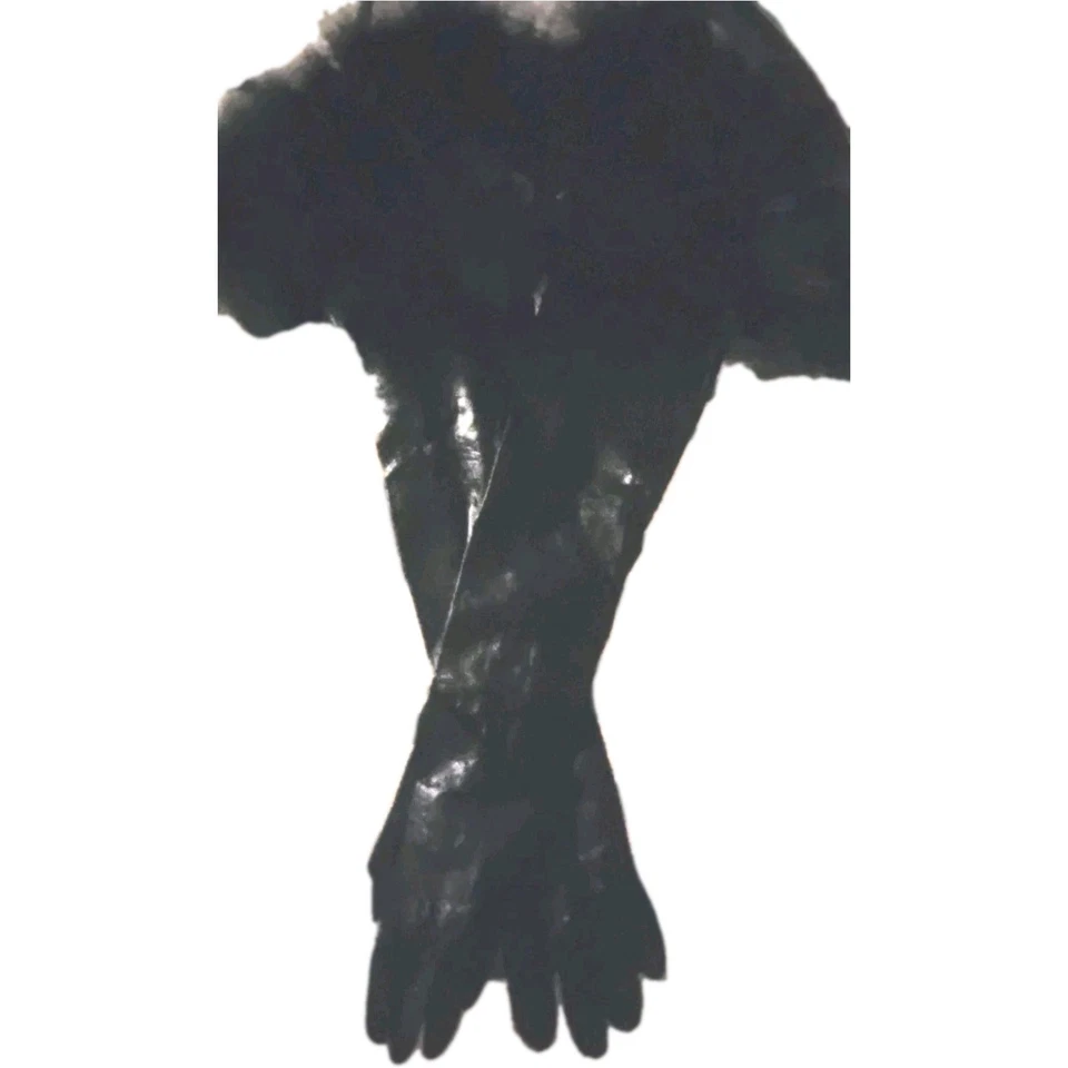 21" Black Kid Leather Gloves. 4" Black Fox cuff Opera!7.5 Mint! 3 Button Wrist - Image 2 of 4